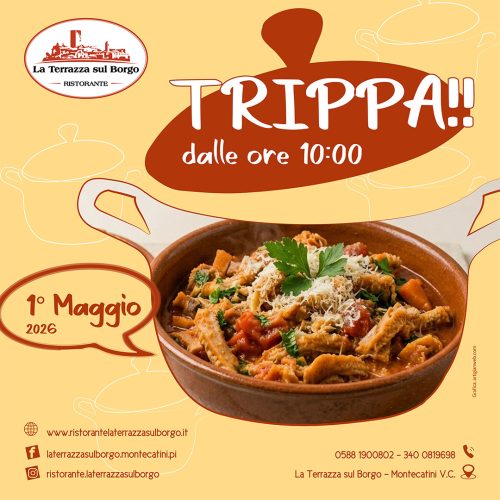 La Terrazza sul Borgo Montecatini VC